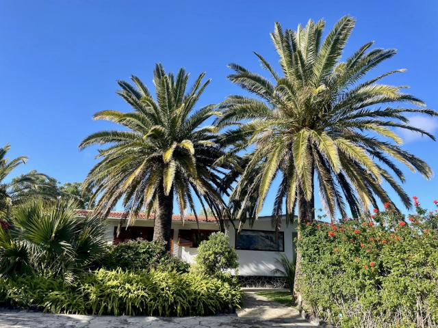 4083cb62-c9ea-417a-b4e3-4de9d73b1901